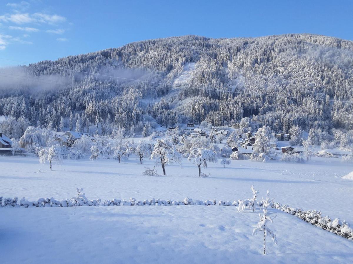 Apartment-Ferienwohnung 3 Treffen Am Ossiachersee Eksteriør bilde